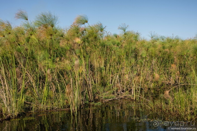 Африканское ралли. Часть 3