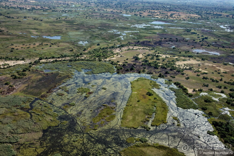 Африканское ралли. Часть 3