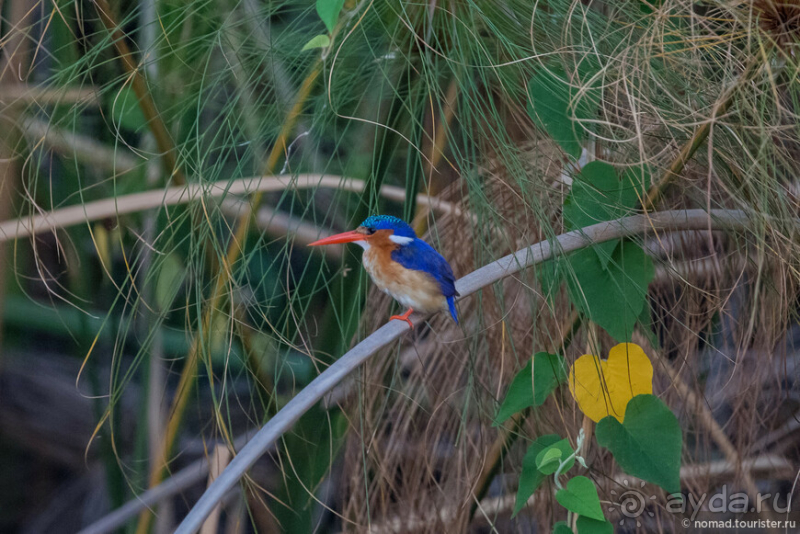 Африканское ралли. Часть 3