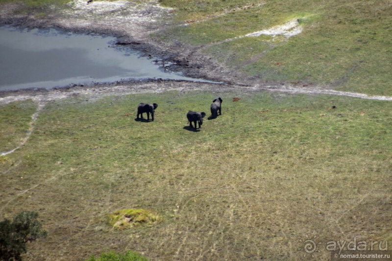 Африканское ралли. Часть 3