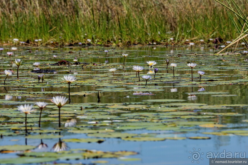 Африканское ралли. Часть 3