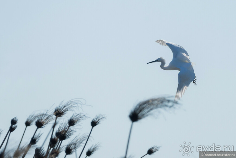 Африканское ралли. Часть 3