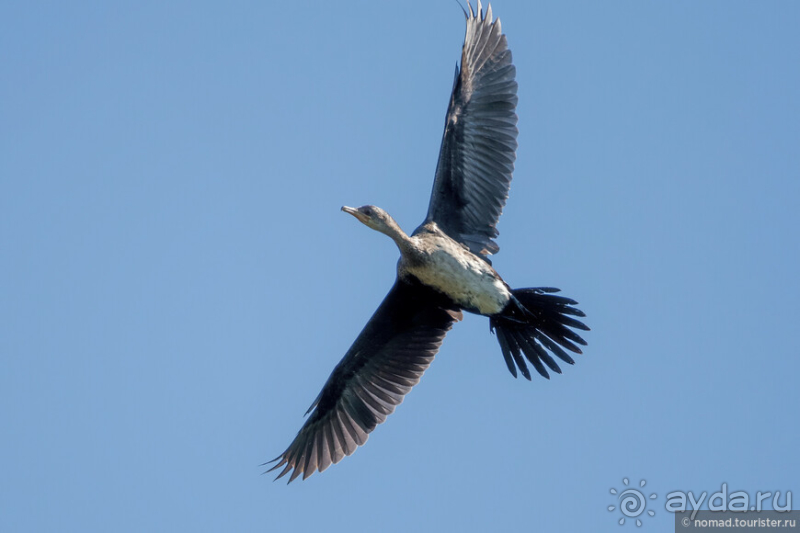 Африканское ралли. Часть 3