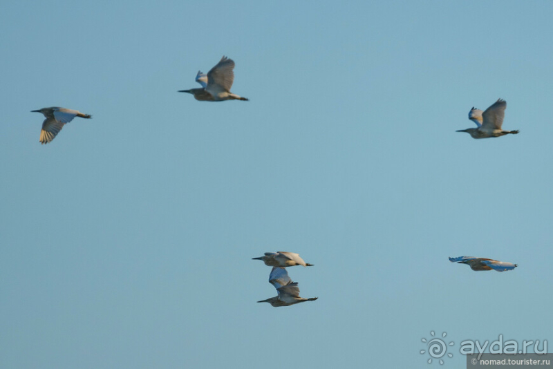 Африканское ралли. Часть 3