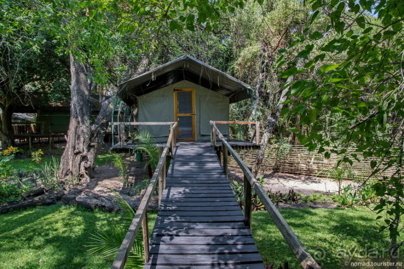 Африканское ралли. Часть 3