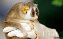 Азиатский квест, или поди туда, не знаю куда. Часть 4