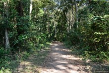 Азиатский квест, или поди туда, не знаю куда. Часть 4