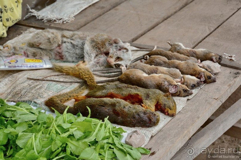 Азиатский квест, или поди туда, не знаю куда. Часть 4