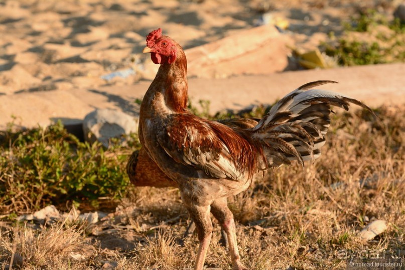 Азиатский квест, или поди туда, не знаю куда. Часть 4