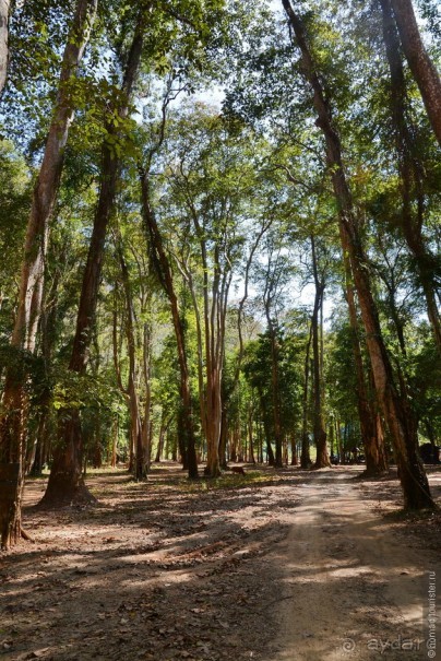 Азиатский квест, или поди туда, не знаю куда. Часть 4