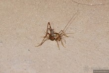 Азиатский квест, или поди туда, не знаю куда. Часть 4