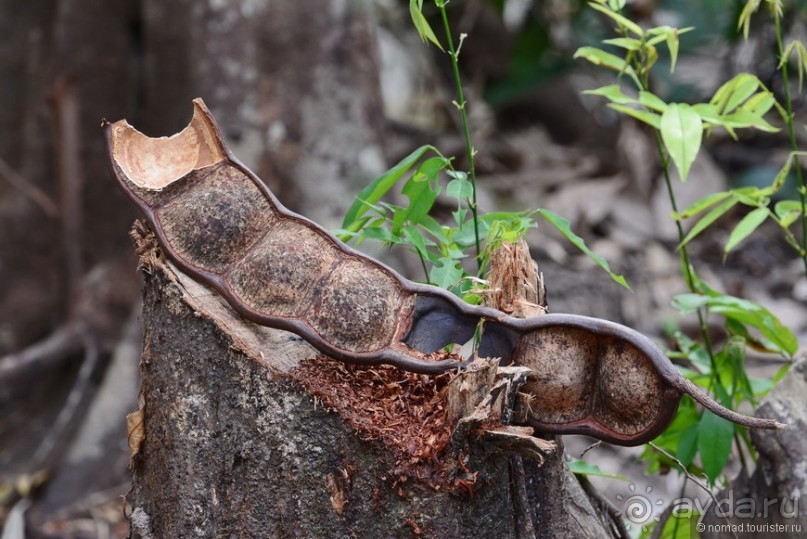 Азиатский квест, или поди туда, не знаю куда. Часть 4