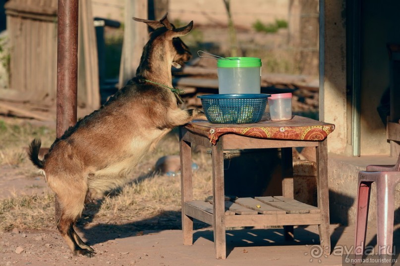 Азиатский квест, или поди туда, не знаю куда. Часть 4