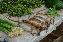 Азиатский квест, или поди туда, не знаю куда. Часть 4