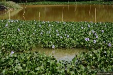 Азиатский квест, или поди туда, не знаю куда. Часть 5