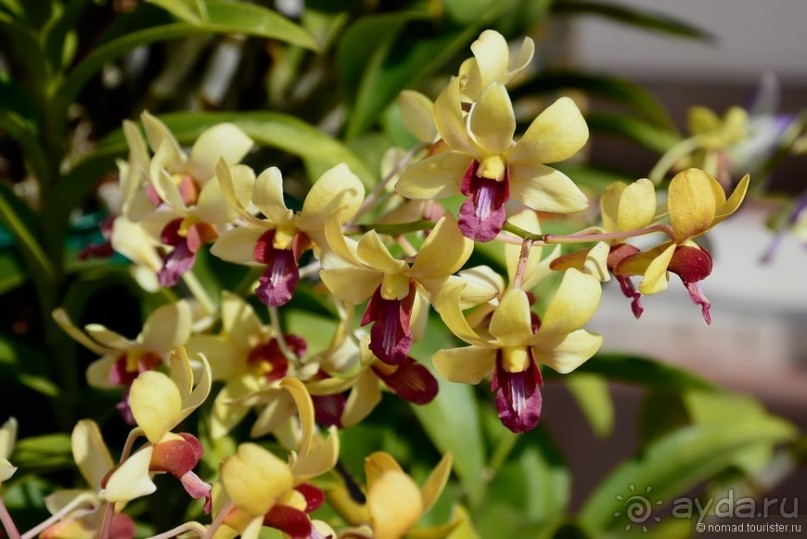 Азиатский квест, или поди туда, не знаю куда. Часть 5