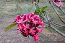 Азиатский квест, или поди туда, не знаю куда. Часть 5