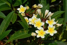 Азиатский квест, или поди туда, не знаю куда. Часть 5