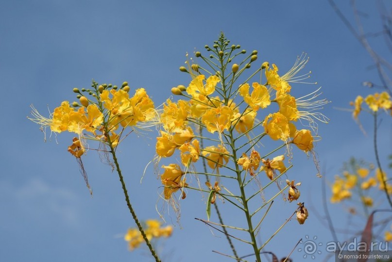 Азиатский квест, или поди туда, не знаю куда. Часть 5