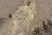 Азиатский квест, или поди туда, не знаю куда. Часть 5