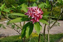 Азиатский квест, или поди туда, не знаю куда. Часть 5