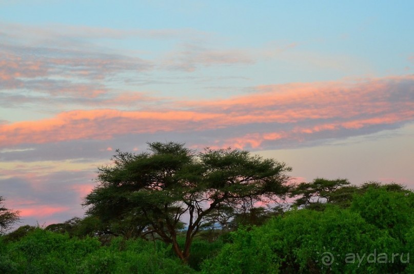 Самбуру в мае