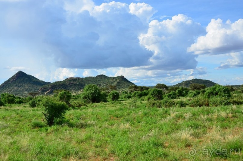 Самбуру в мае