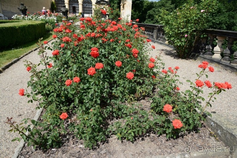 Чешские покатушки. Часть 2