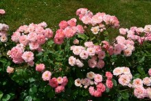 Чешские покатушки. Часть 2