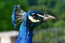 Чешские покатушки. Часть 2