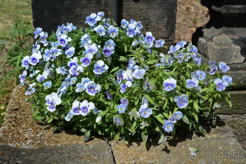 Чешские покатушки. Часть 2