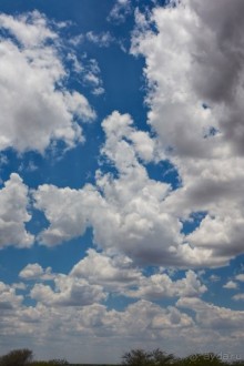 Африканский калейдоскоп. Часть 11