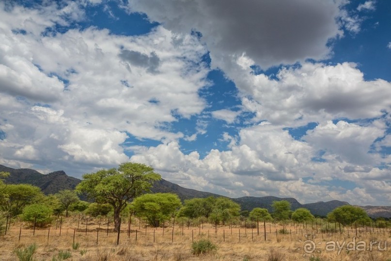 Африканский калейдоскоп. Часть 11