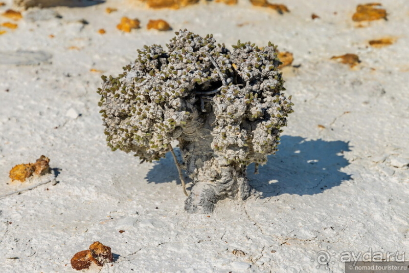 Альбом истории "Экстаз № 1. Тузбаир-Шеркала-Айракты"