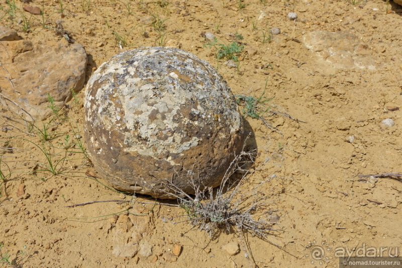 Альбом истории "Экстаз № 1. Тузбаир-Шеркала-Айракты"