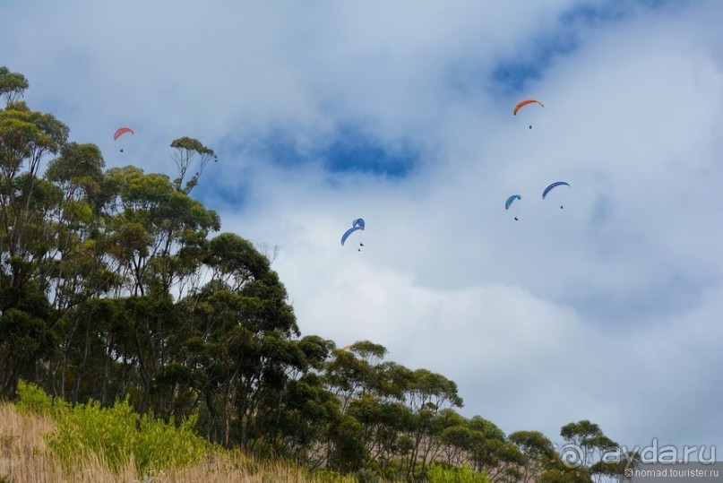 Африканский калейдоскоп. Часть 1