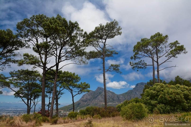 Африканский калейдоскоп. Часть 1