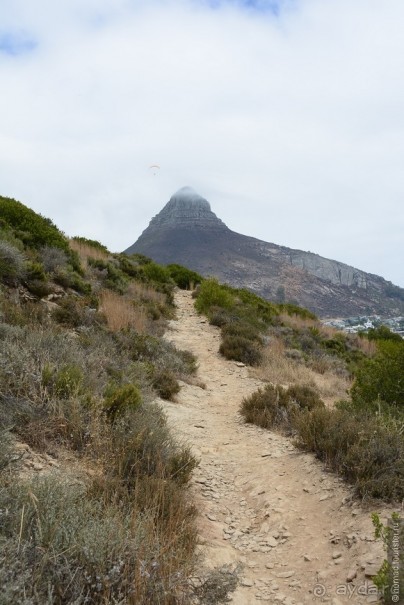 Африканский калейдоскоп. Часть 1