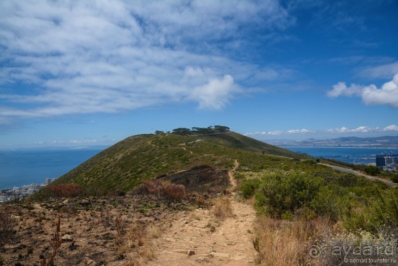 Африканский калейдоскоп. Часть 1