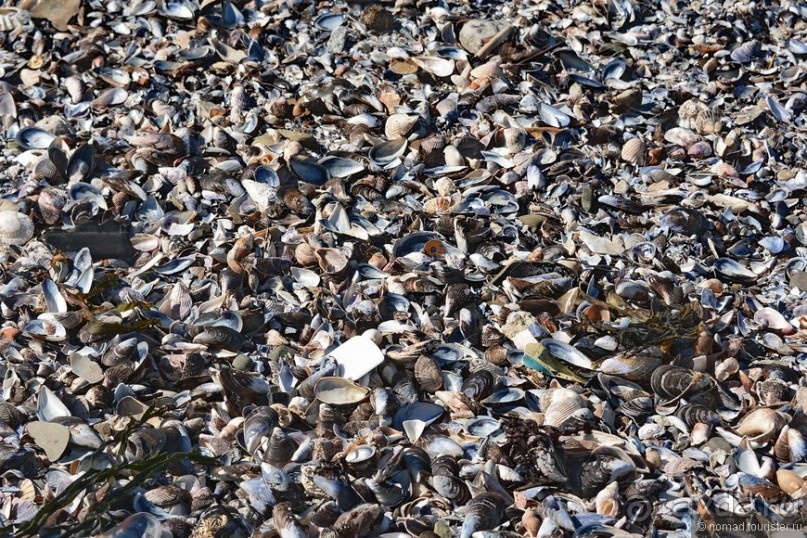 Африканский калейдоскоп. Часть 1