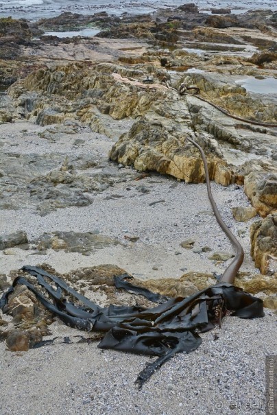 Африканский калейдоскоп. Часть 1