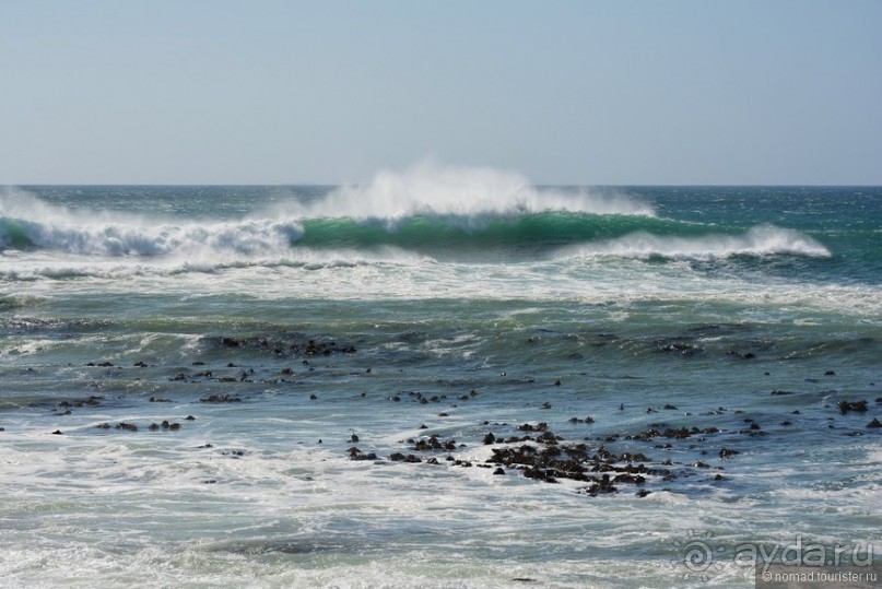 Африканский калейдоскоп. Часть 1