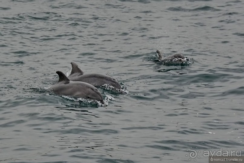 Прогулки по Стамбулу. Финальный аккорд