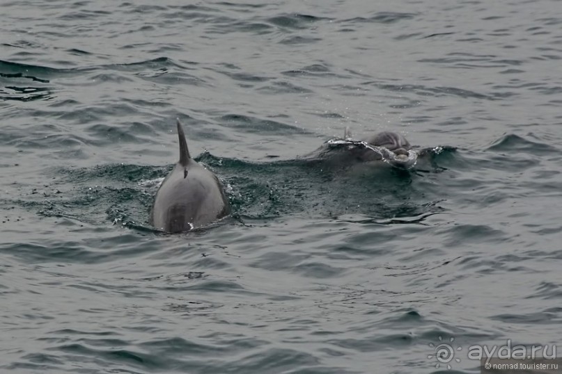 Прогулки по Стамбулу. Финальный аккорд