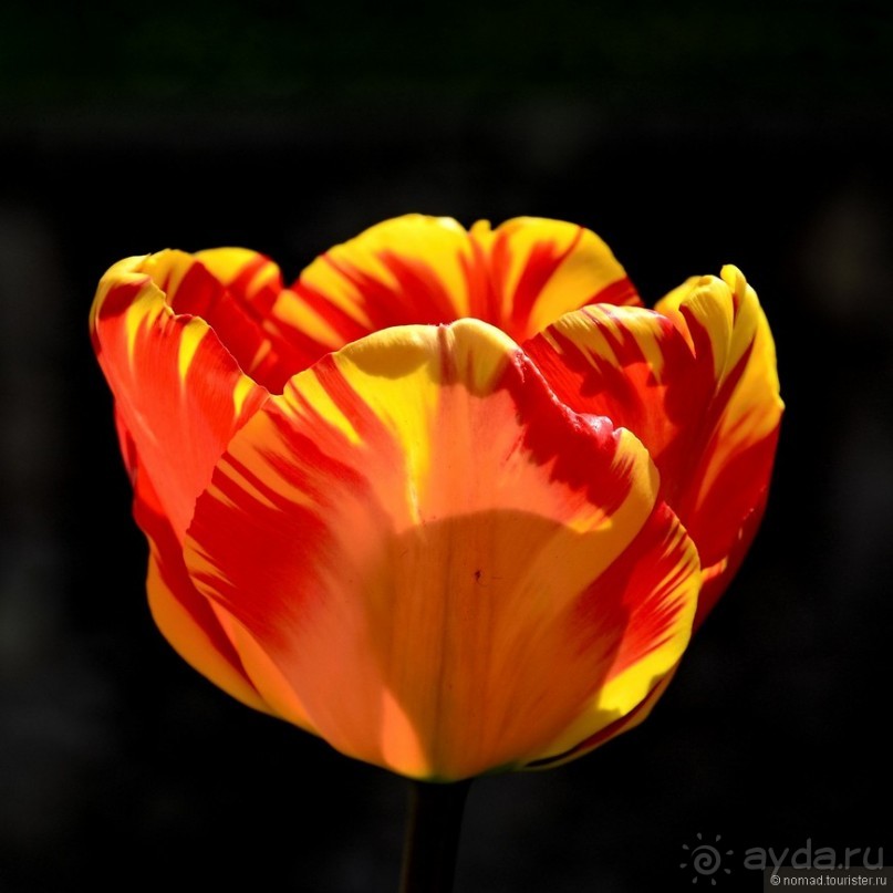 Прогулки по Стамбулу. Финальный аккорд