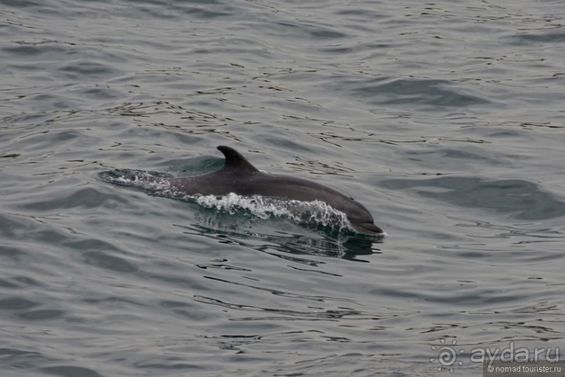 Прогулки по Стамбулу. Финальный аккорд