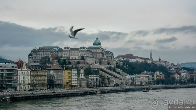 Под серым небом Будапешта. Часть 1