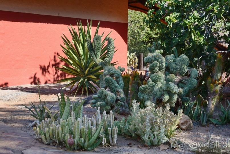 Африканский калейдоскоп. Часть 9