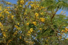 Африканский калейдоскоп. Часть 9