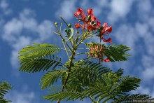 Африканский калейдоскоп. Часть 9